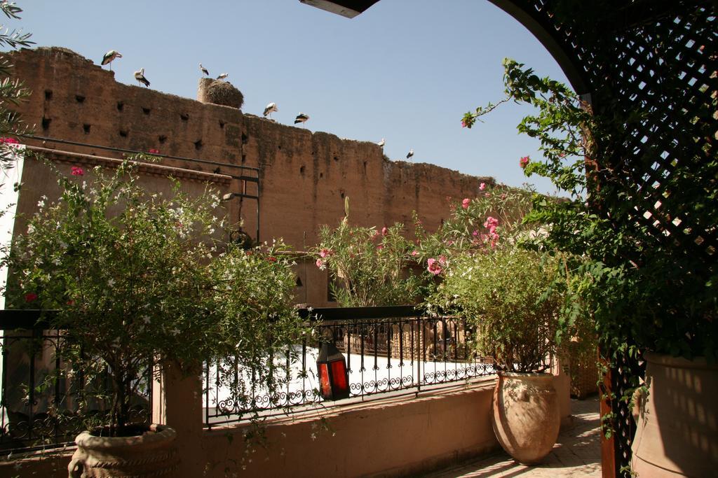 Riad Carina Marrakesh Exterior foto